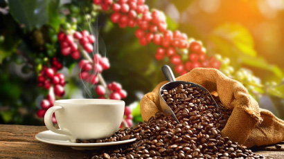 Understand Brand Salience in the Coffee Market